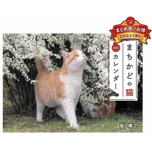 【おまけCL付】まちかどの猫カレンダー 2027 (写真:阪 靖之) 2027年 壁掛けカレンダー 9784868110682-DS