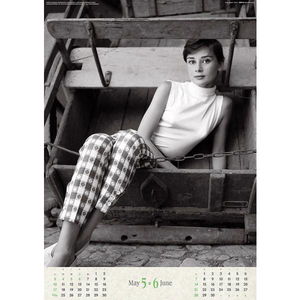 softya_cl26-341_3_d_20250901165114