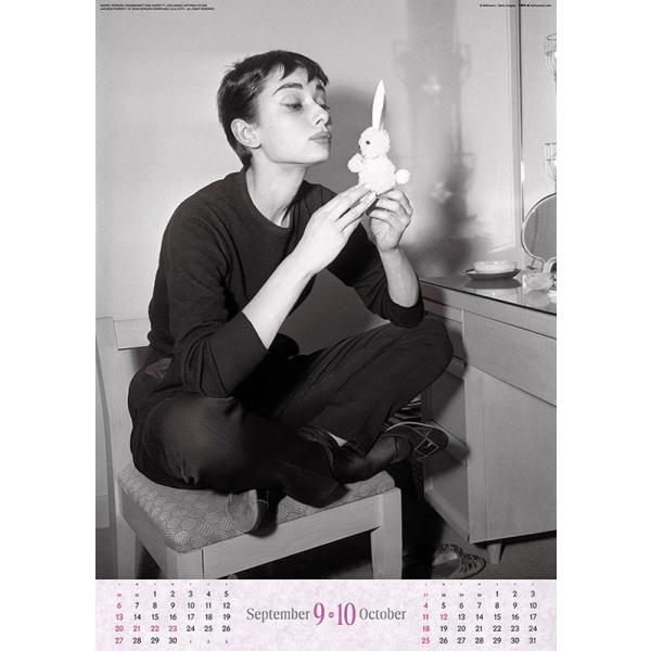 softya_cl26-341_5_d_20250901165115