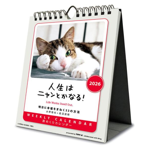 [Release date: September 20, 2025]■タイトル／人生はニャンとかなる！ 卓上/壁掛■品番／CL26-384■JAN／4968855260399■サイズ・仕様／18×14cm・55枚 / ヒラ