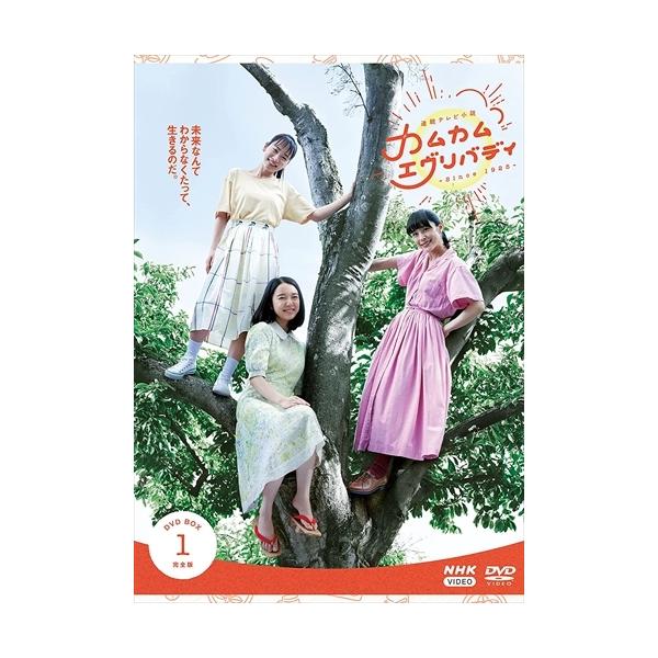 NHKエンタープライズ 新品 連続テレビ小説 カムカムエヴリバディ 完全