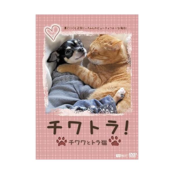 ★最安値に挑戦！迅速配送！★※商品により本社倉庫、第二倉庫、メーカー在庫に分かれます。納期遅れる場合もございます。大人気ブログ『チワワとトラ猫』通称「チワトラ」初の映像作品!＜仕様＞DVD言語 : 日本語EAN : 494597720109...