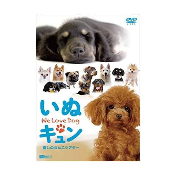 【おまけCL付】新品 シンフォレストDVD いぬキュン 癒しのわんこシアター We Love Dog /  (DVD) SDB18-TKO