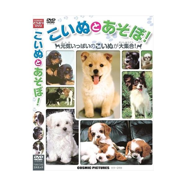 【おまけCL付】新品 こいぬとあそぼ ヨークシャー・テリア ラブラドール・リトリバー パピヨン プードル シー・ズー 柴犬 （DVD）TMW-046-CM