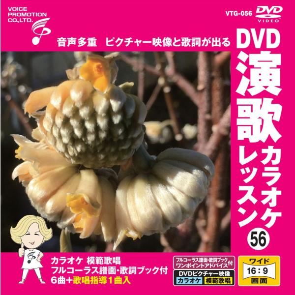 【おまけCL付】新品 DVD演歌カラオケレッスン56 / (DVD) VTG-056