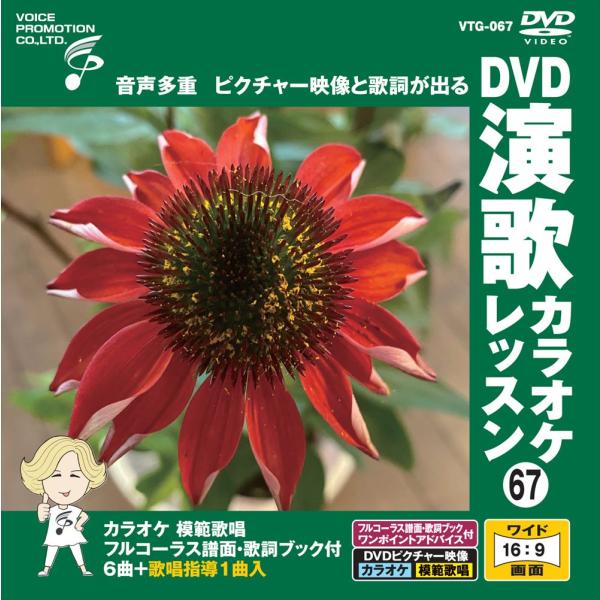 【おまけCL付】新品 DVD演歌カラオケレッスン67 / (DVD) VTG-067