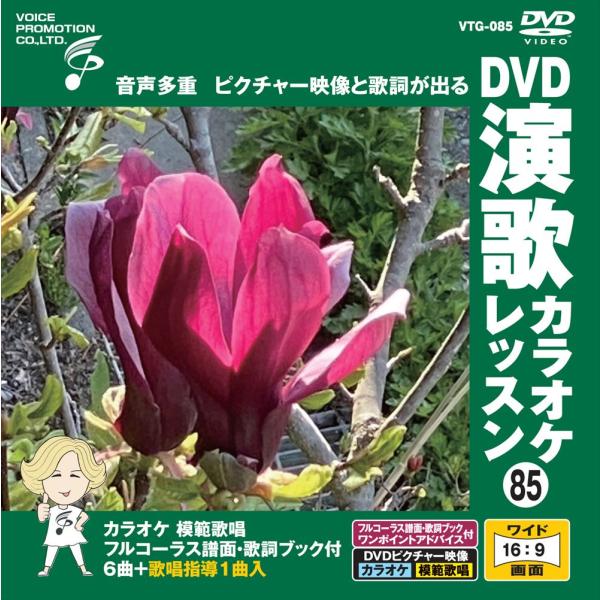 【おまけCL付】新品 DVD演歌カラオケレッスン85 / (DVD) VTG-085