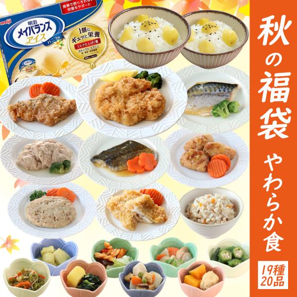 介護食 やわらか食 送料無料 メイバランスアイス入り秋の福袋20品セット 冷凍 柔らかい 介護食品 歯ぐきでつぶせる 舌でつぶせる おかず 刻み食 そふまる