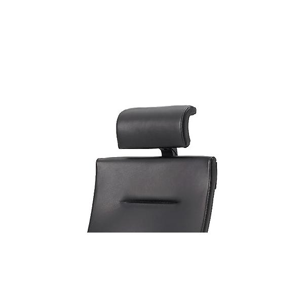 wbhT|[gjbg U[^Cvp Cg[L Xs[i Spina `FA pIvV Jݒut |Cgp