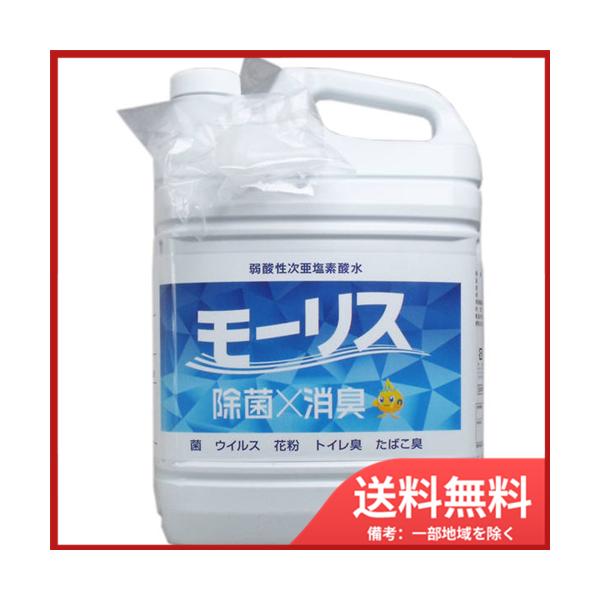 XFʏ Ɩp MORRIS f_[X 5L 