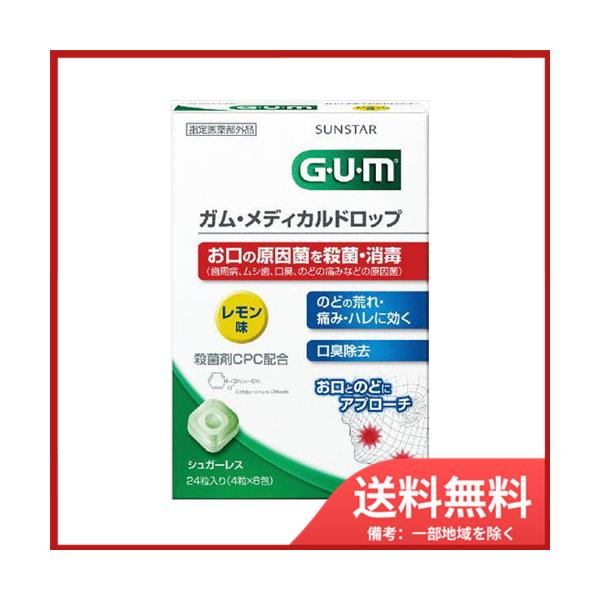 5܂ƂߔTX^[ GUM@KEfBJhbv@@24[֑ ×5Zbg