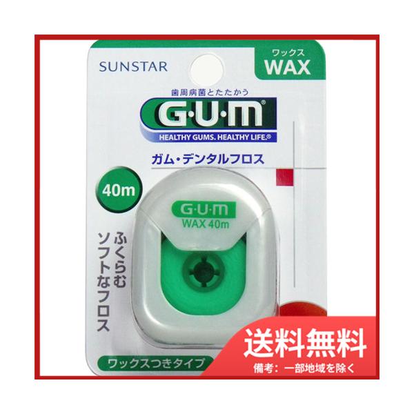 TX^[ GUM K f^tX bNX 40m@[֑