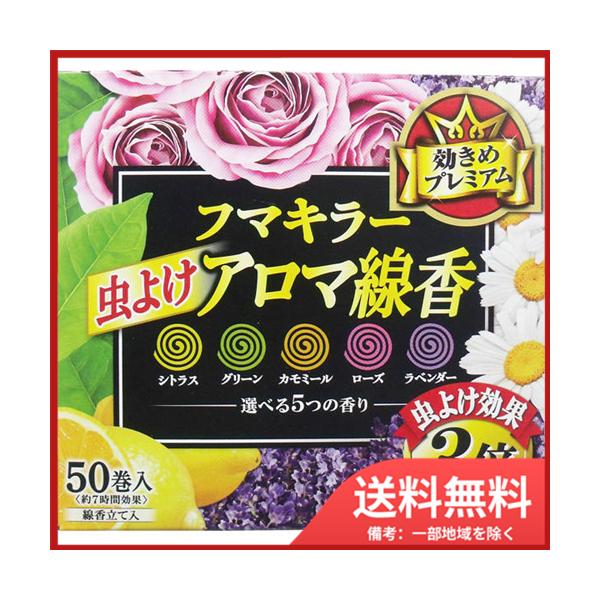 t}L[ t}L[ 悯A} 5̍ 50(e10) 