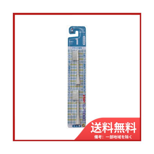 ~j} nsJ@ւuV@炩߁@BRT|1T@[֑