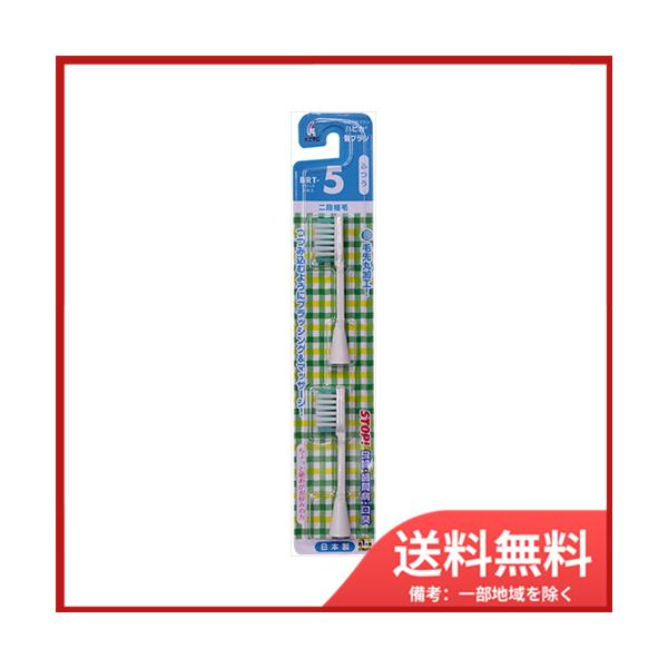 ~j} nsJ@ւuV@ӂ@BRT|5T@[֑