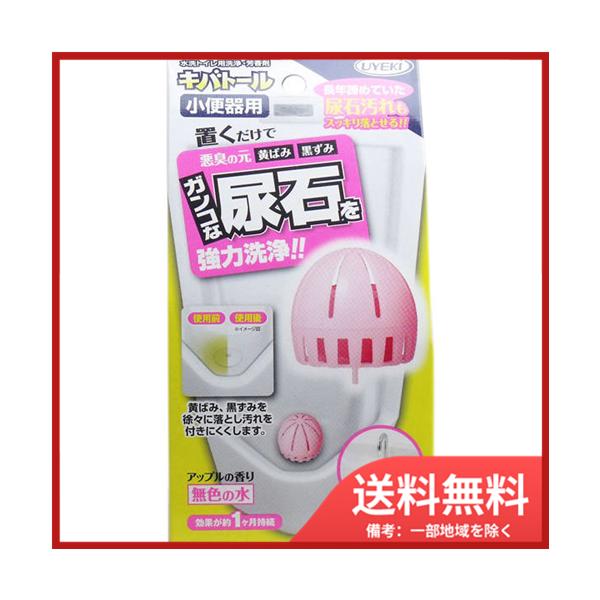 txdjh UYEKI Log[ gCpEF ֊p 55g@