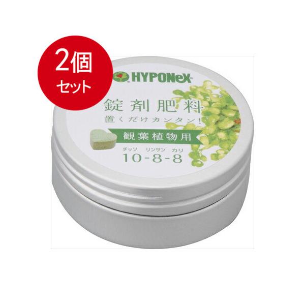 2܂Ƃߔ ܔ엿@ϗtAp  nC|lbNXWp   |piE܁@ × 2Zbg