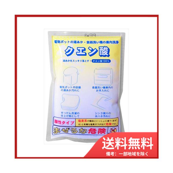 地の塩社 クエン酸　50G　メール便送料無料