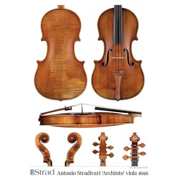 Antonio Stradivari 'Archinto' viola 1696 (ビオラ ポスター)