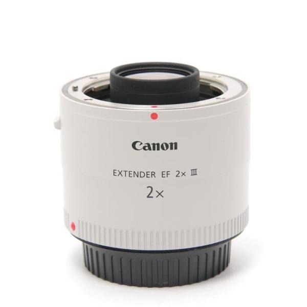 キヤノン（Canon） レンズ エクステンダー EF2X III キャノン 交換