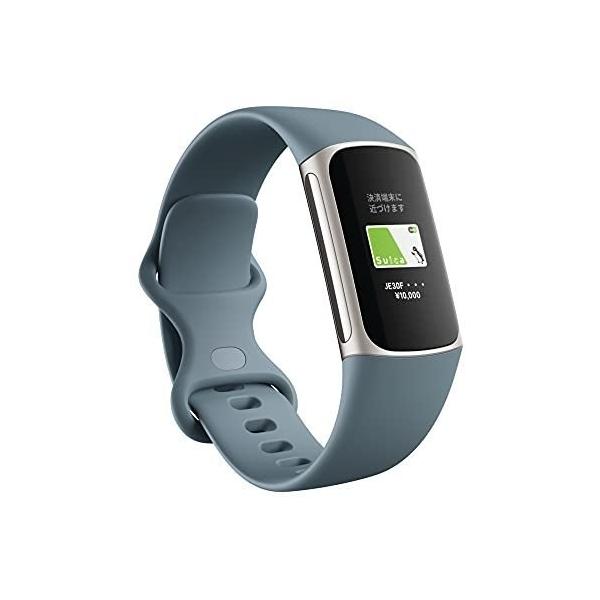 Google Fitbit Fitbit フィットビット Charge5 スチールブルー