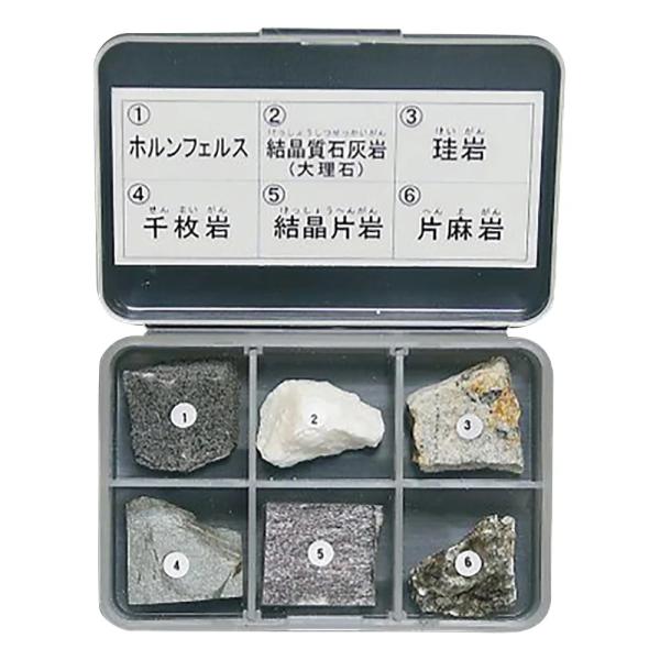 仕様岩石標本　変成岩6種入数：1セット内容：ホルンフェルス、結晶質石灰岩、粘板岩、千枚岩、結晶片岩、片麻岩解説等：解説付き※天然物のため、材料入手の都合により内容を変更する場合があります。