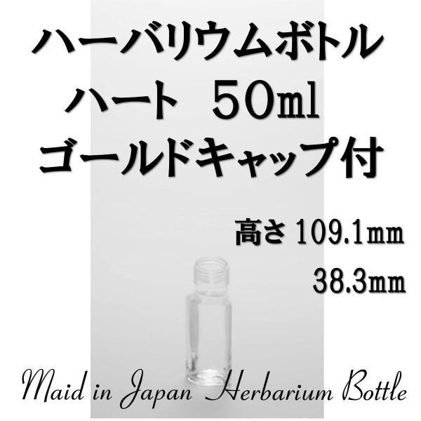 ハーバリウム ハートの人気商品 通販 価格比較 価格 Com