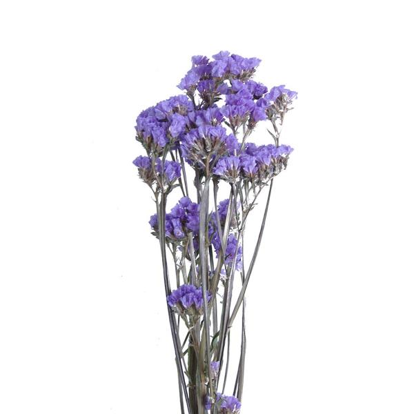 ドライフラワー 花材 スターチス ライトパープル 小分け そらプリ Spds0009 お花の贈り物そらーる 通販 Yahoo ショッピング