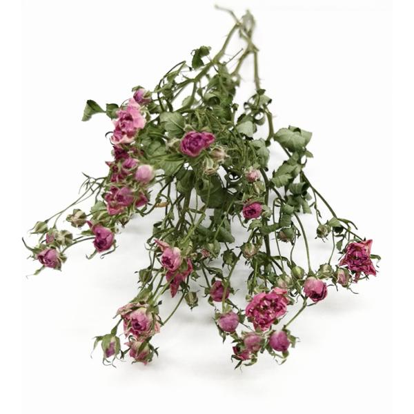 ドライフラワー 花材 リトルウッズ ピンク 約輪 そらプリ Buyee Buyee Japanese Proxy Service Buy From Japan Bot Online