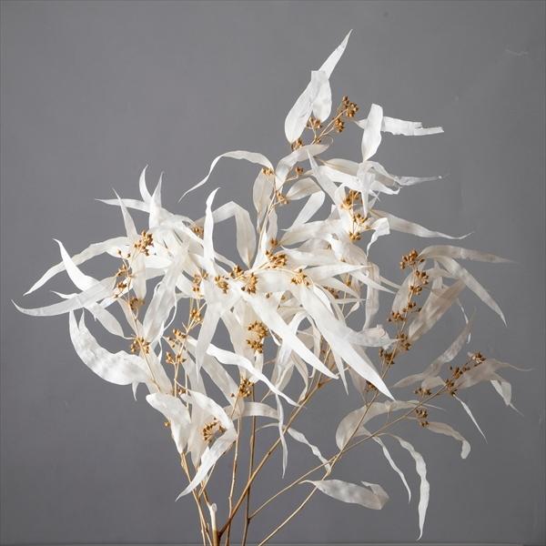 そらプリ ドライフラワー 花材 ユーカリ エキゾチカ 葉付 オフホワイト 小分け 大地農園 白 自然素材 実付 Spds0245 お花の贈り物そらーる 通販 Yahoo ショッピング