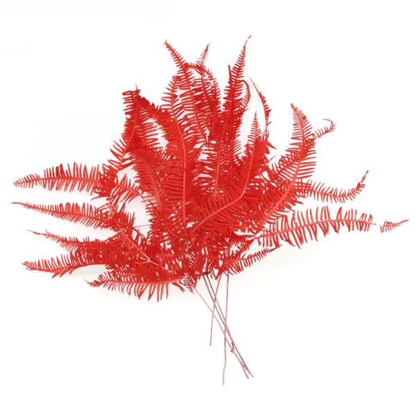 ドライフラワー 花材 山シダ ビビットレッド 5枚 そらプリ Spfc0122 お花の贈り物そらーる 通販 Yahoo ショッピング