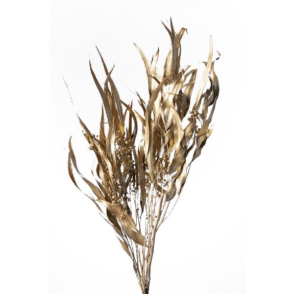 そらプリ ドライフラワー 花材 ユーカリ エキゾチカ 葉付 ゴールド 小分け 大地農園 クリスマス Spps0131 お花の贈り物そらーる 通販 Yahoo ショッピング