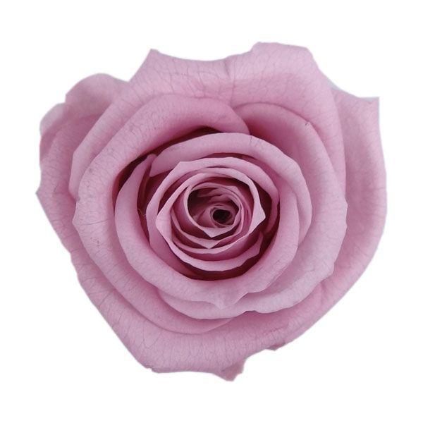 プリザーブドフラワー 花材 メディアナローズ ラベンダーピンク 小分け 1輪 紫 フロールエバー 大きい バラ X1 Fl0300 61 お花の贈り物そらーる 通販 Yahoo ショッピング