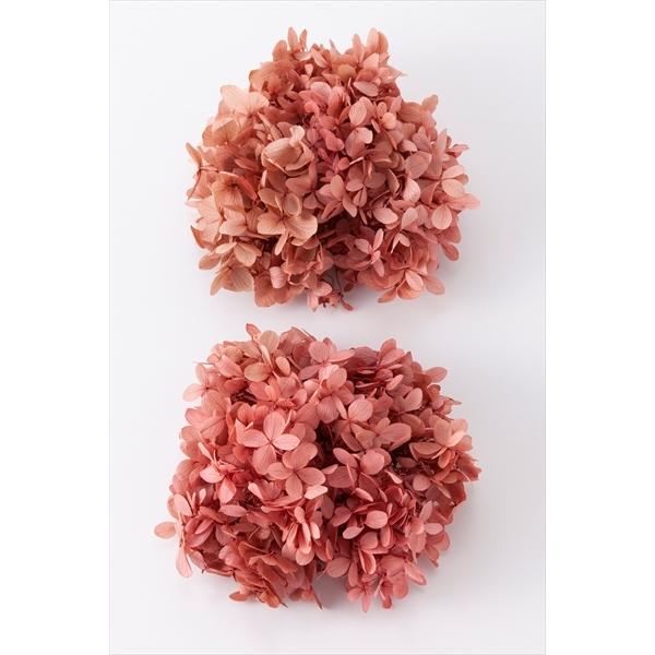プリザーブドフラワー 花材 ソフトピラミッドアジサイ ヘッド ナチュラルピンク 大地農園 紫陽花 あじさい X1 Oh 100 お花の贈り物そらーる 通販 Yahoo ショッピング