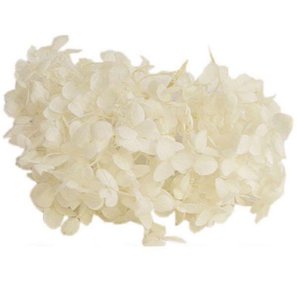 プリザーブドフラワー 花材 ソフトアナベル アジサイ オフホワイト 小分け バラ売り 大地農園 X1 Oh 011 お花の贈り物そらーる 通販 Yahoo ショッピング