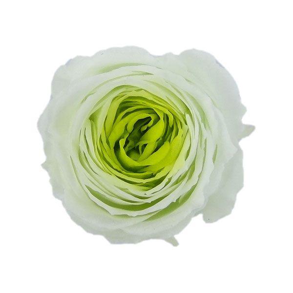 大地農園 バラ 花材 まりひめ ローズ 小 ミントグリーン 小分け 1輪入 X1 Oh 771 お花の贈り物そらーる 通販 Yahoo ショッピング