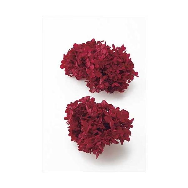 アジサイ 赤の人気商品 通販 価格比較 価格 Com