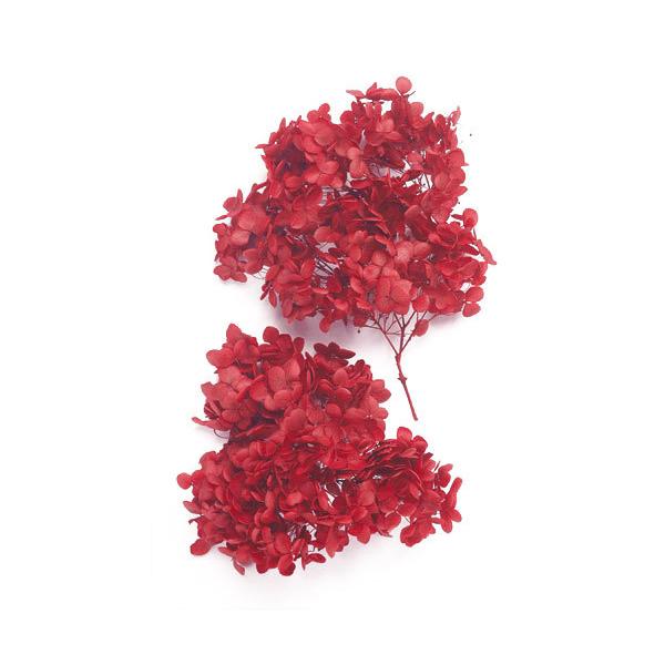 アジサイ 赤の人気商品 通販 価格比較 価格 Com