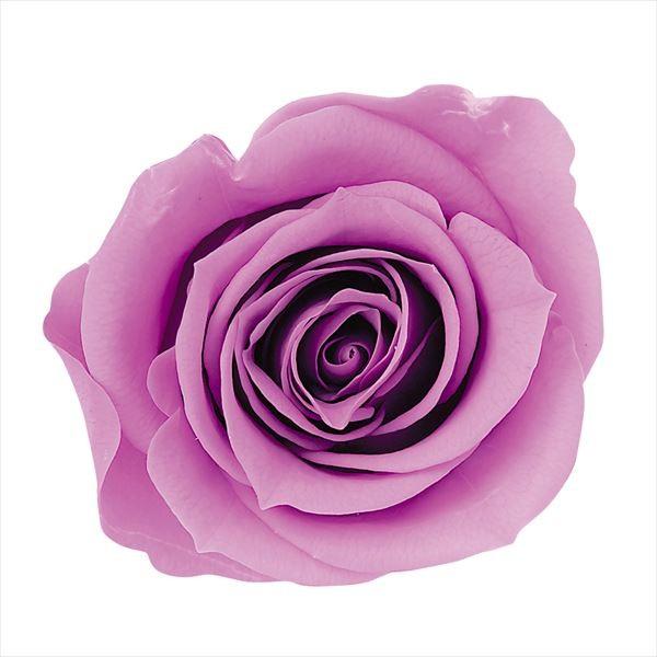 プリザーブドフラワー 花材 ミミローズ コスモスピンク 9輪 バラ 大地農園 Xa Oh 142 お花の贈り物そらーる 通販 Yahoo ショッピング