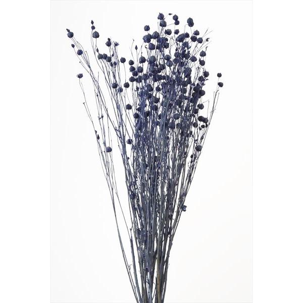 ドライフラワー 花材 リンフラワー コバルト ブルー 約25g 大地農園 青 紺 材料 お花 小花 Xa Oh 681 お花の贈り物そらーる 通販 Yahoo ショッピング