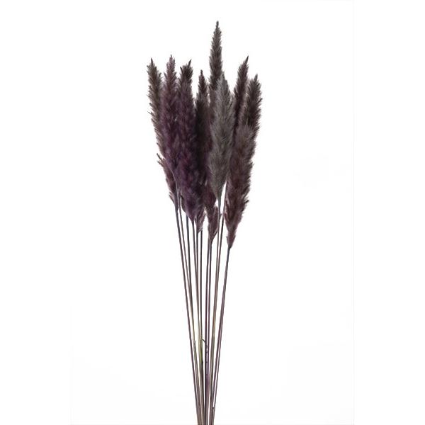 ふわふわ 花 Diy 工具の人気商品 通販 価格比較 価格 Com