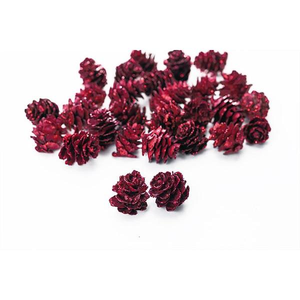 木の実 ドライフラワー ミニツガ クイーンレッドラメ 約50g 大地農園 Xa Oh227 305 お花の贈り物そらーる 通販 Yahoo ショッピング