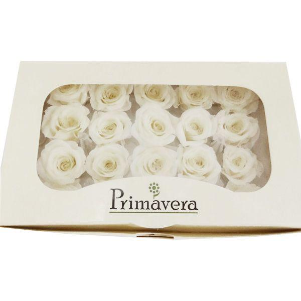 べべ ローズ ブライダルホワイト 箱 輪入 プリザーブドフラワー 花材 Xa Pr お花の贈り物そらーる 通販 Yahoo ショッピング