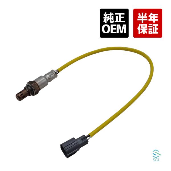 コムギ！ kamy2_33000