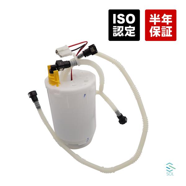 solltd_95562093201-001