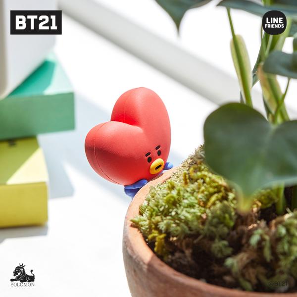 育てる嬉しさ Bt21 グリーントイ 栽培 キット ギガランキングｊｐ