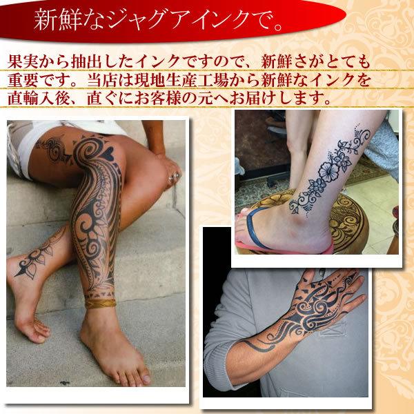 送料無料 ヘナジャグセット ヘナタトゥーセット ジャグアインク15ml 刺青 入墨 ヘナタトゥー タトゥー シール プレゼント Buyee Buyee 日本の通販商品 オークションの代理入札 代理購入