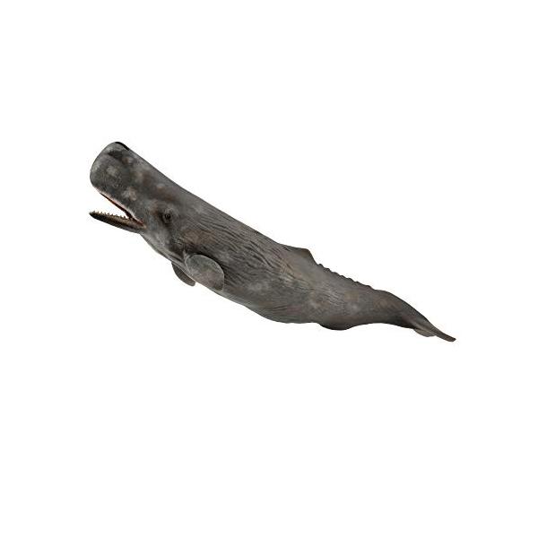 マッコウクジラ 88835 : SOLVERTEX - 通販 - Yahoo!ショッピング