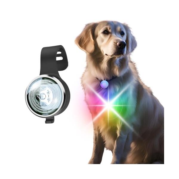 Link-N 犬 散歩 ライト 充電式 小型犬 ペット用品 8カラーから