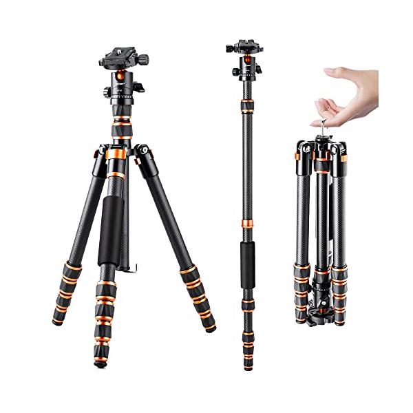 K&F Concept 三脚 カーボン 超軽量 コンパクト 5段 全高153cm 一脚可変